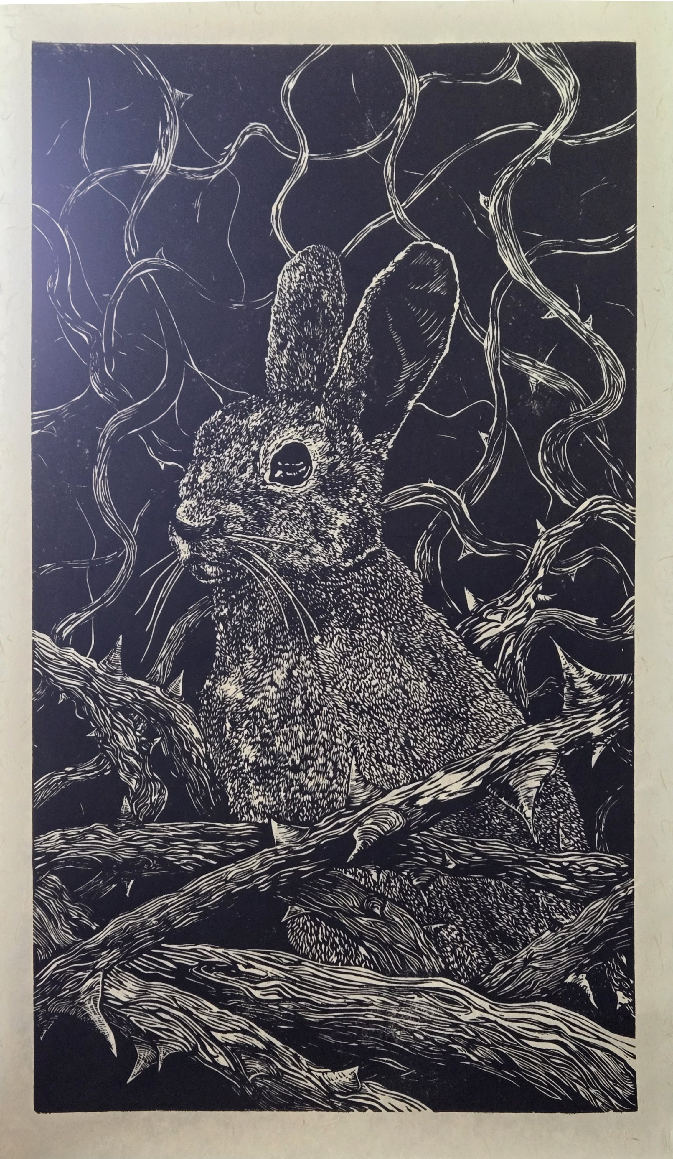 Big Bunny